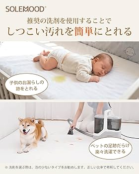 Amazon | 【常温式×17000Pa超強吸引力】SOLEMOOD カーペットクリーナー